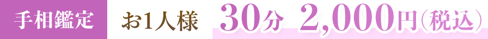 手相鑑定 30分 2,000円